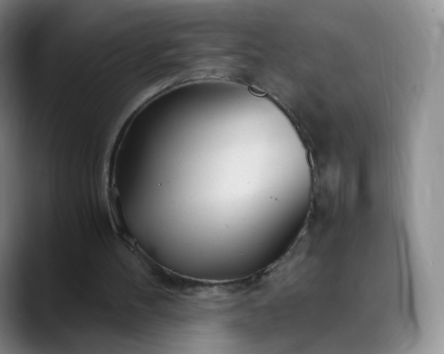 X0000089890100200707121838