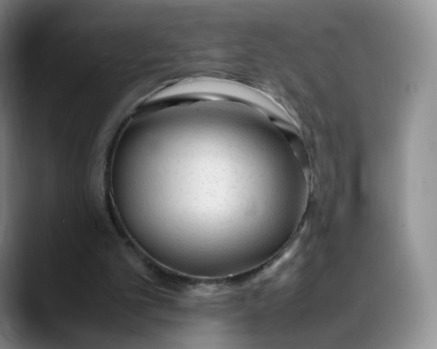 X0000089890101200707121838