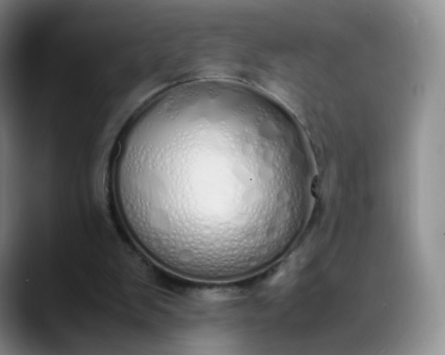 X0000089890103200707121838