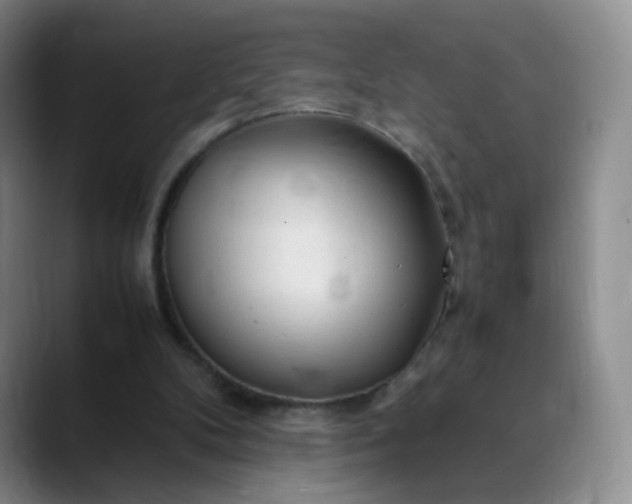 X0000089890104200707121838