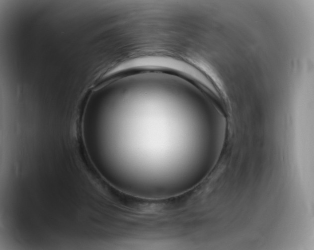 X0000089890105200707121838