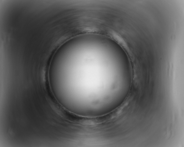 X0000089890106200707121838