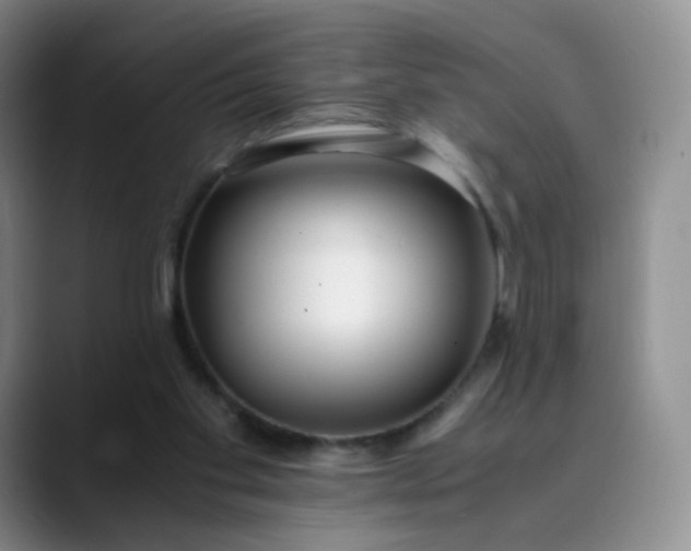 X0000089890109200707121838