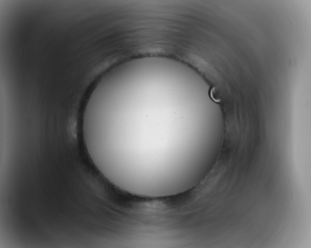 X0000089890112200707121838