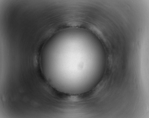 X0000089890114200707121838