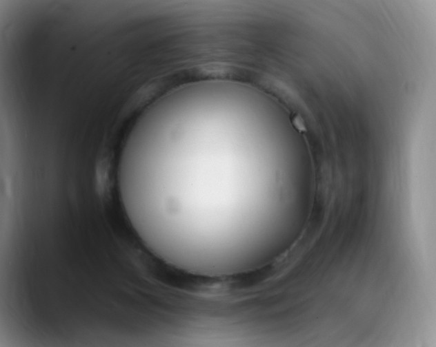 X0000089890116200707121838