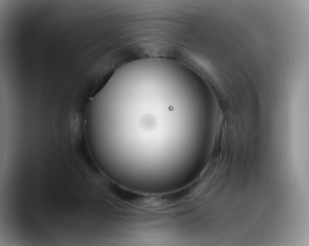 X0000089890121200707121838