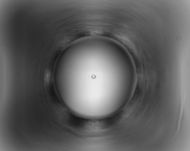 X0000089890123200707121838