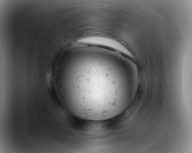 X0000089890127200707121838