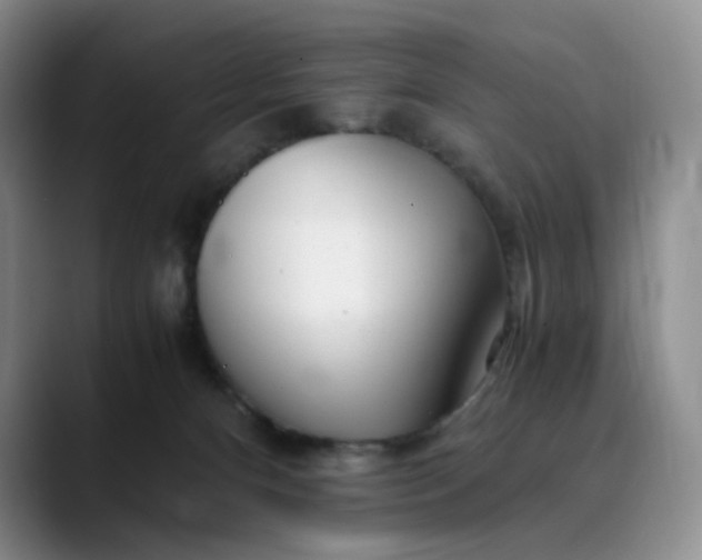 X0000089890128200707121838