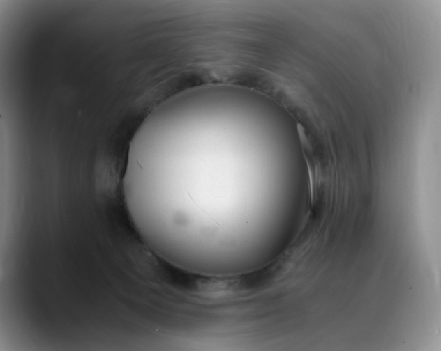 X0000089890129200707121838