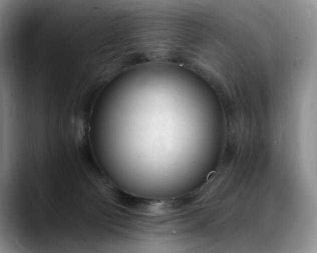 X0000089890130200707121838