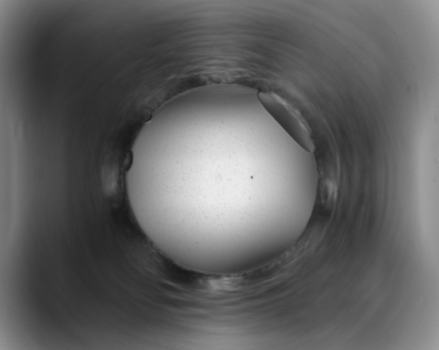 X0000089890134200707121838