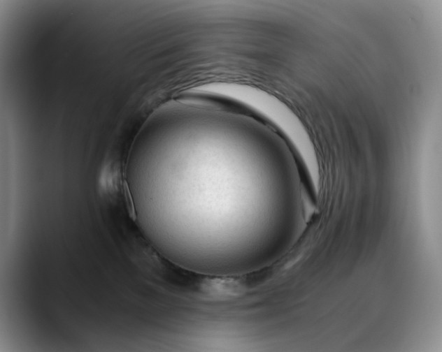 X0000089890137200707121838