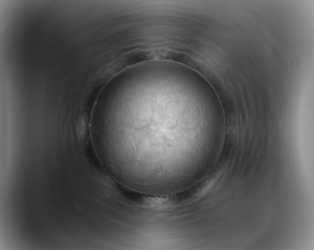 X0000089890139200707121838