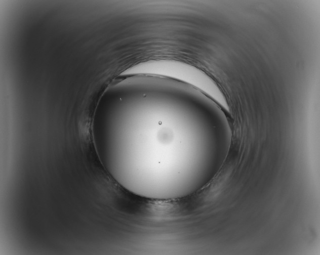 X0000089890141200707121838