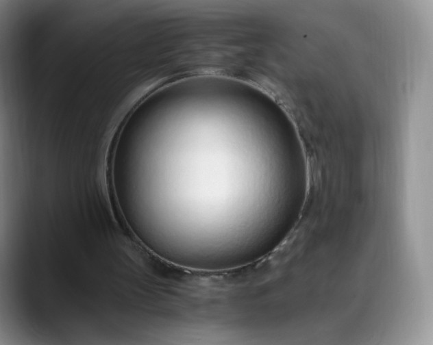 X0000089890147200707121837