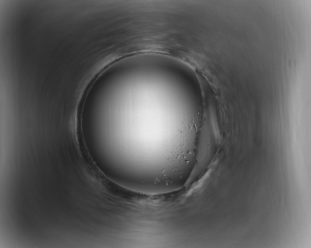 X0000089890148200707121837