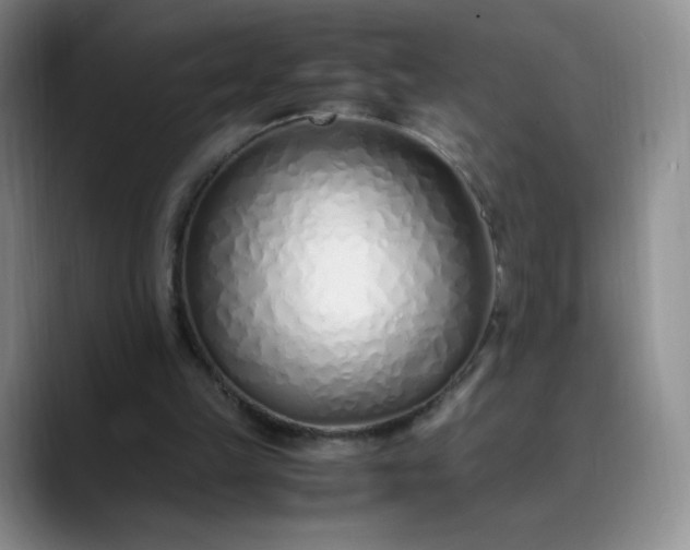 X0000089890149200707121837