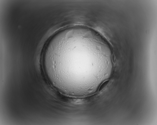 X0000089890151200707121837