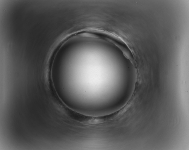 X0000089890152200707121837