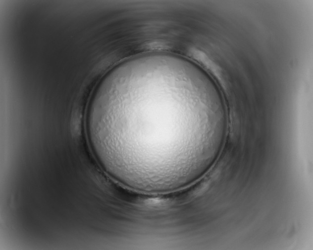 X0000089890153200707121837