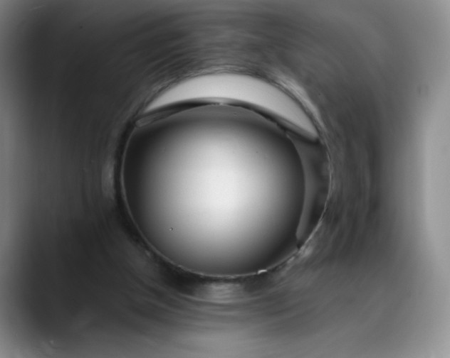 X0000089890154200707121837