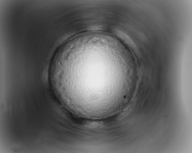 X0000089890155200707121837