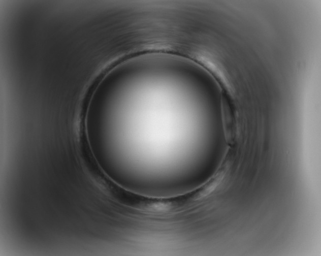 X0000089890156200707121837