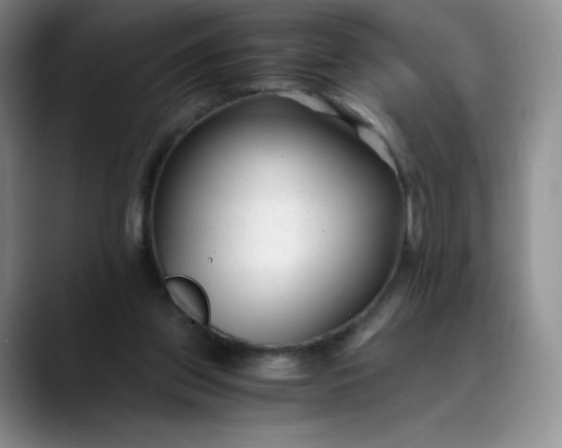 X0000089890157200707121837