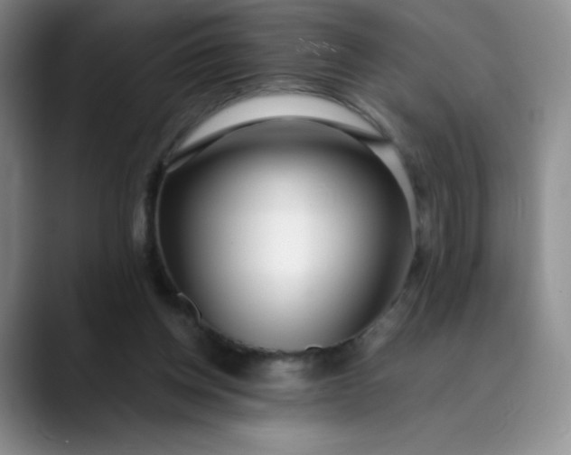 X0000089890158200707121837