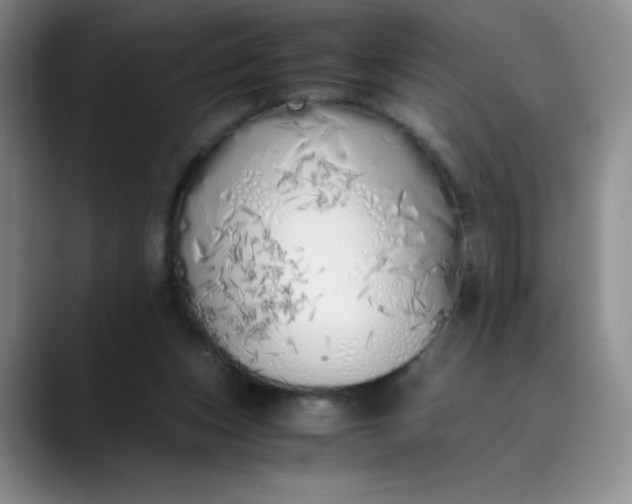 X0000089890159200707121837