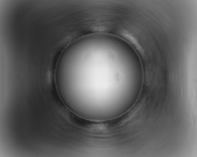 X0000089890161200707121837