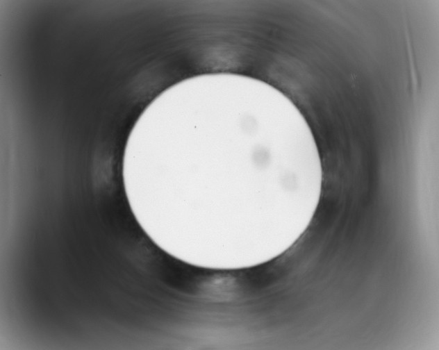 X0000089890162200707121837