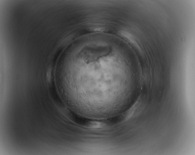 X0000089890167200707121837