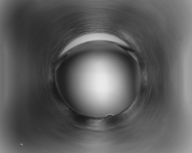 X0000089890170200707121837