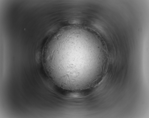 X0000089890171200707121837