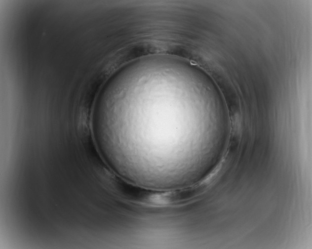 X0000089890178200707121837