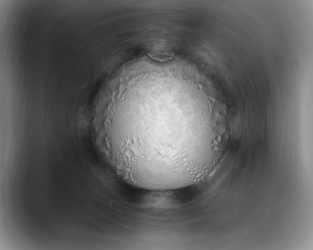 X0000089890179200707121837