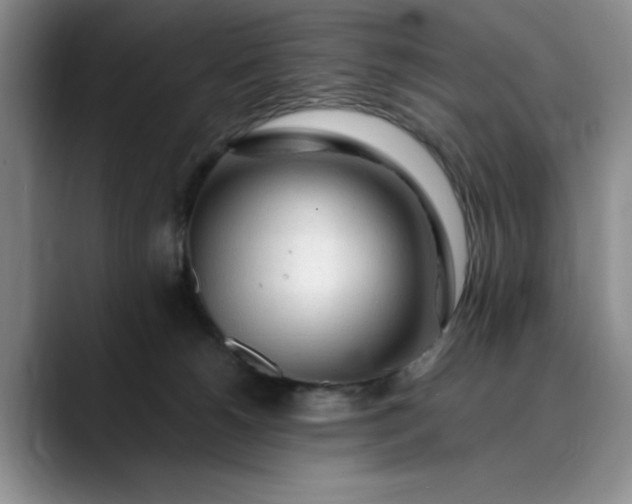 X0000089890180200707121837