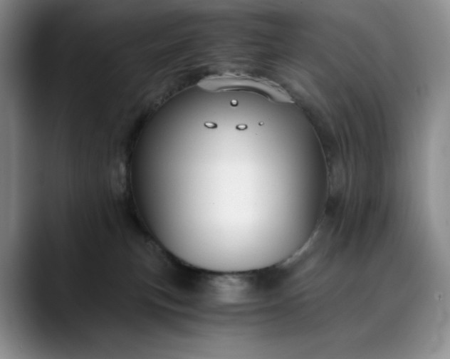 X0000089890183200707121838