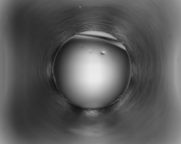 X0000089890189200707121838