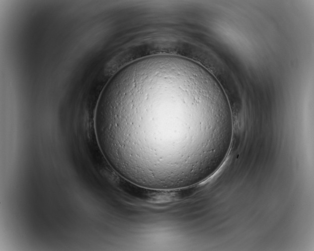 X0000089890191200707121838