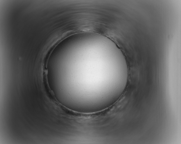 X0000089890194200707121837