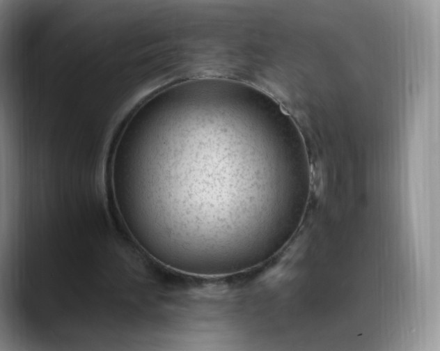 X0000089890196200707121837