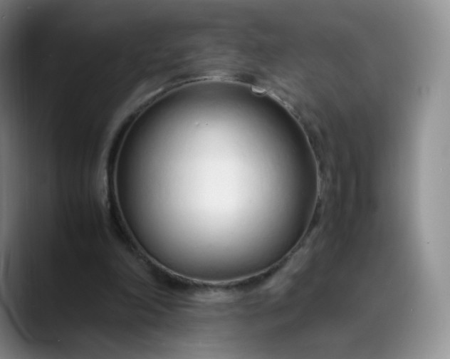 X0000089890198200707121837