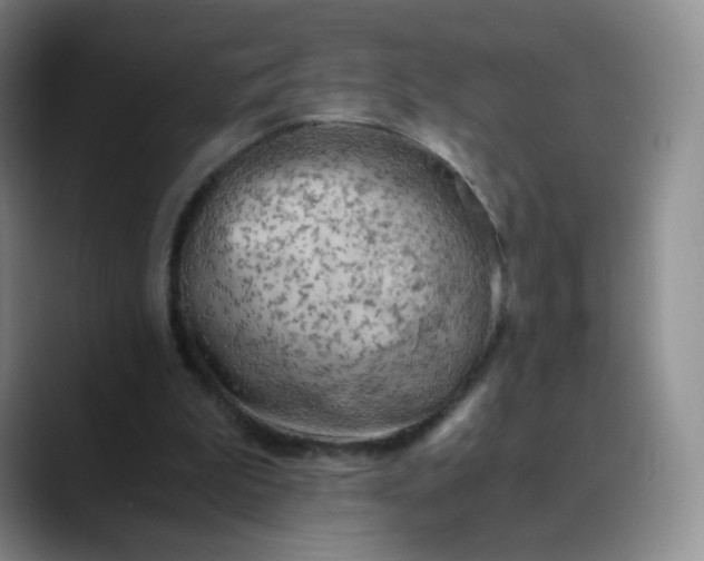 X0000089890199200707121837