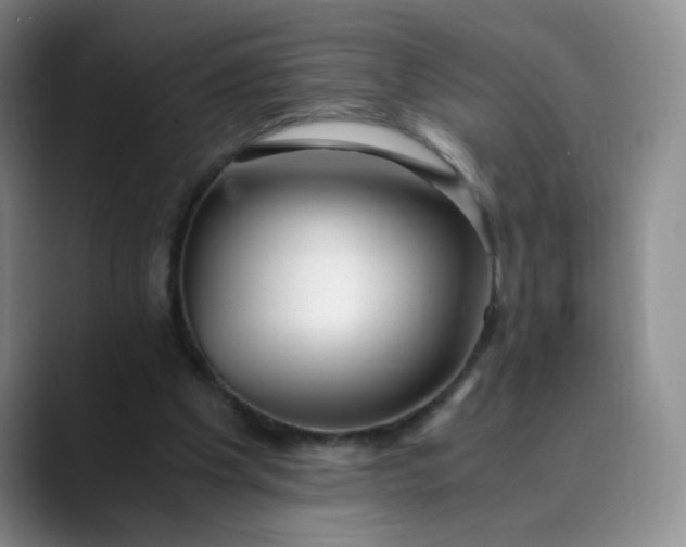 X0000089890201200707121837