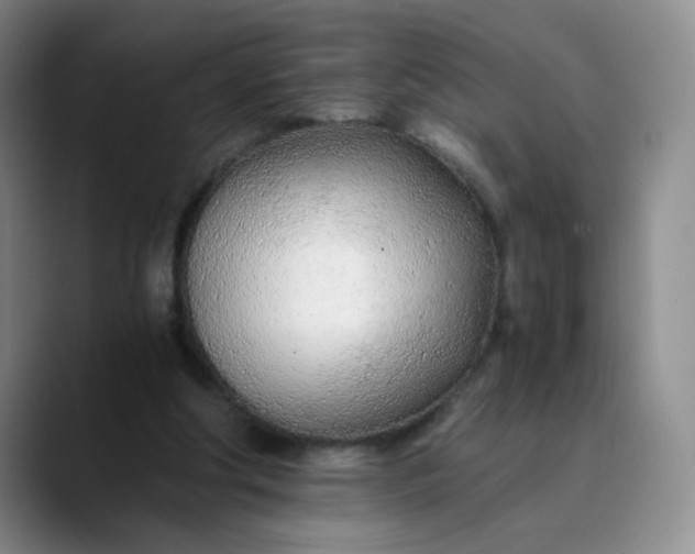 X0000089890202200707121837