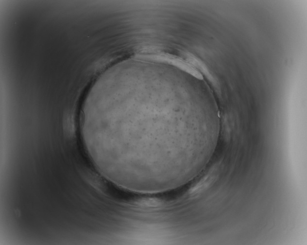 X0000089890203200707121837